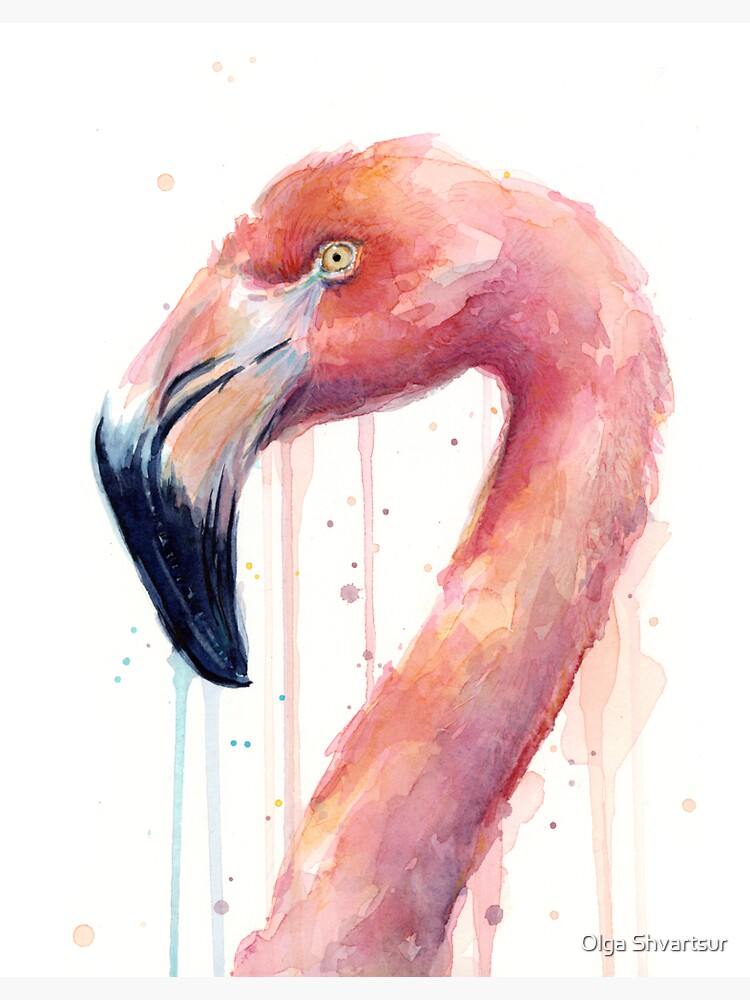 Фломинго. Фламинго гуашью. Фламинго красками. Фламинго рисунок гуашью. Фламинго рисунок акварелью.