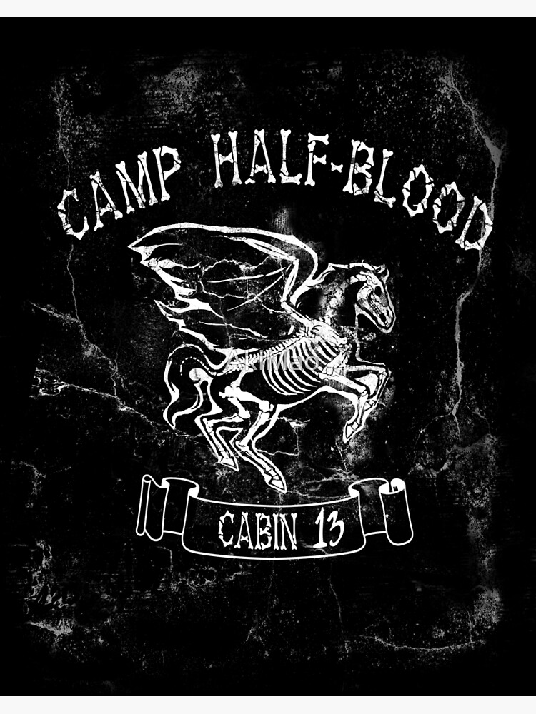 Cabin Thirteen - camp half-blood 2 Poster for Sale by AkiMao