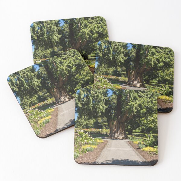 Item preview, Large tree in the stanley park rose garden in summer, Vancouver designed and sold by SnapTPhotograph.