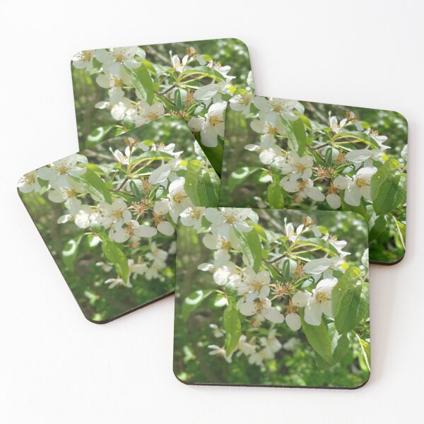 Item preview, White Camellias in Bloom designed and sold by RotondoArt.