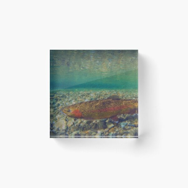 Item preview, Rainbow Trout Swimming designed and sold by DeltaBassBugs.