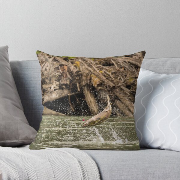 Item preview, A Chum Salmon leaping out of the water after being hooked by an angler. designed and sold by SnapTPhotograph.