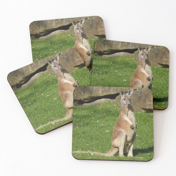Item preview, Kangaroo Balance designed and sold by Fearless-Fox.