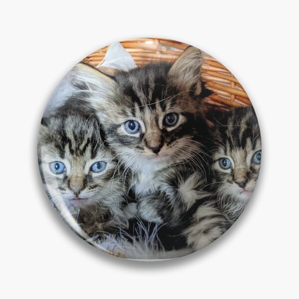 Item preview, Three little kittens designed and sold by Fluffycat2020.