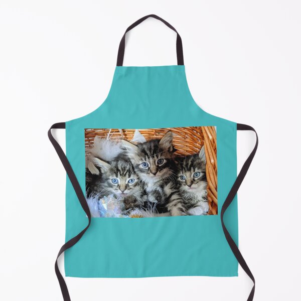 Aperçu de l'œuvre Trois petits chatons créée et vendue par Fluffycat2020.