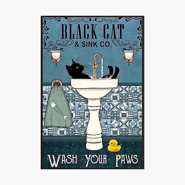 Black Cat & Sink Co. Photographic Print