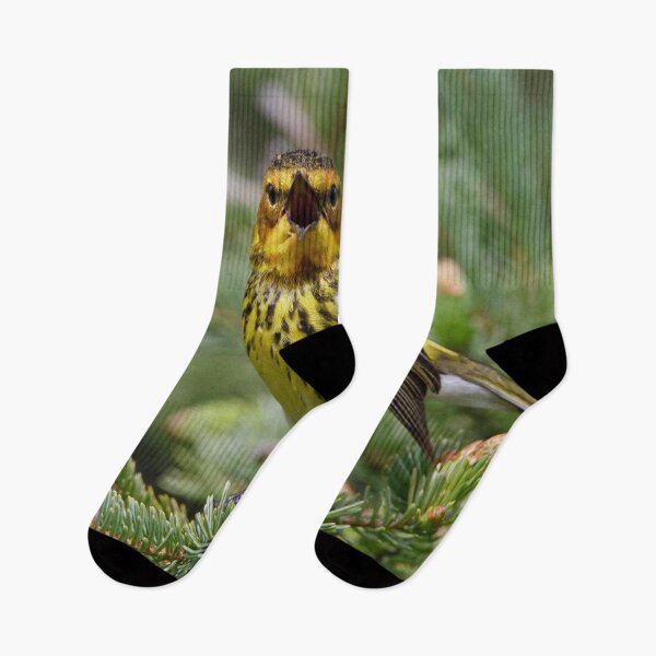 Item preview, Pretty bird's singing. designed and sold by Lan thi Nguyen.