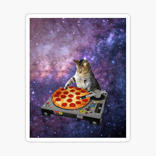 Galaxy Cat Pizza DJ Sticker Space Cat Sticker Funny Sticker 