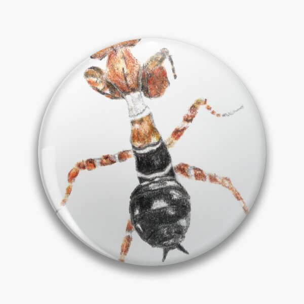 Item preview, Callibia diana - Flower Mantis  designed and sold by nikolaisnotes.
