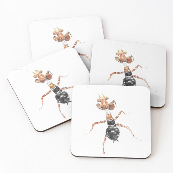 Item preview, Callibia diana - Flower Mantis  designed and sold by nikolaisnotes.