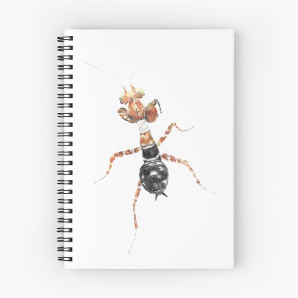 Item preview, Callibia diana - Flower Mantis  designed and sold by nikolaisnotes.