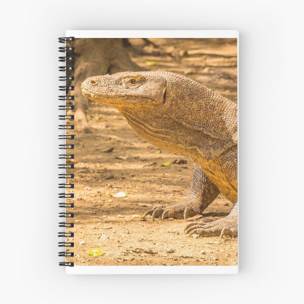 Item preview, A Komodo Dragon ready to attack in the afternoon sun. designed and sold by SnapTPhotograph.
