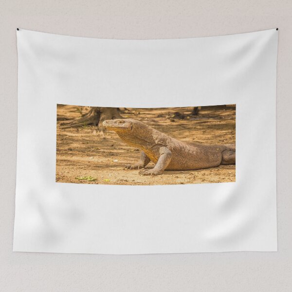 Item preview, A Komodo Dragon ready to attack in the afternoon sun. designed and sold by SnapTPhotograph.