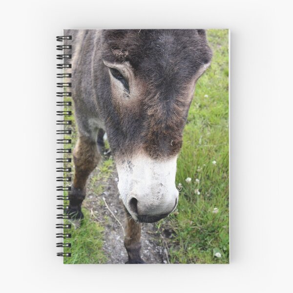 Item preview, Donkey designed and sold by LettuceLeaf.