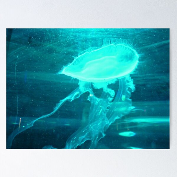Item preview, Blue Jellyfish designed and sold by Fearless-Fox.