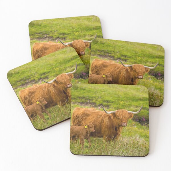 Item preview, Highland Cow and her calf together in a rough, green, grassy, Scottish highland field. designed and sold by SnapTPhotograph.