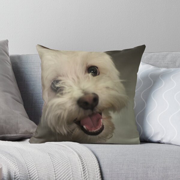 Dog Smile Pillows & Cushions for Sale
