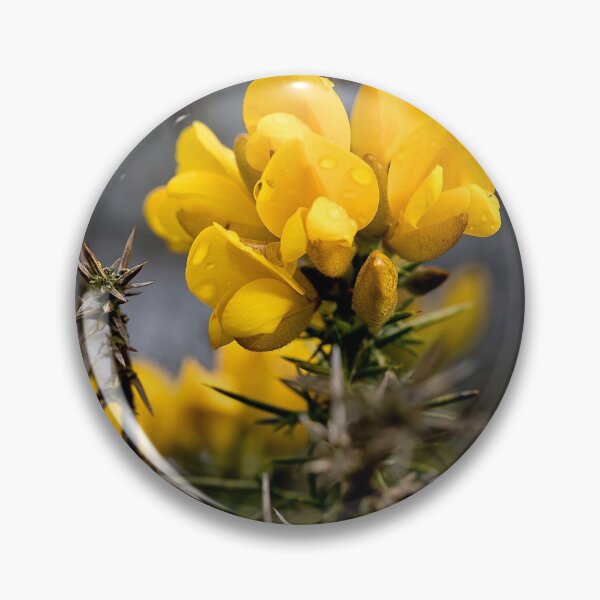Item preview, Yellow Gorse after a spring shower designed and sold by Violaman.