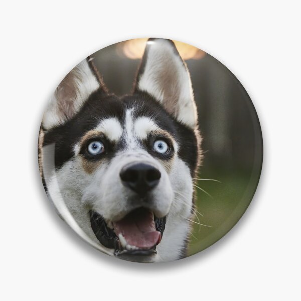 Item preview, Siberian Huskey Natural Light Portrait designed and sold by Opethian666.