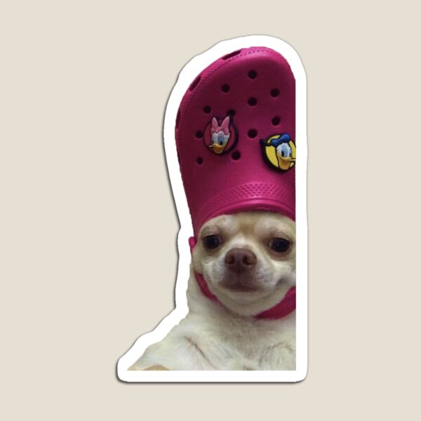 METAL REFRIGERATOR MAGNET Chihuahua Dogs Wearing Hats Don't Even Ask Dog Humor 