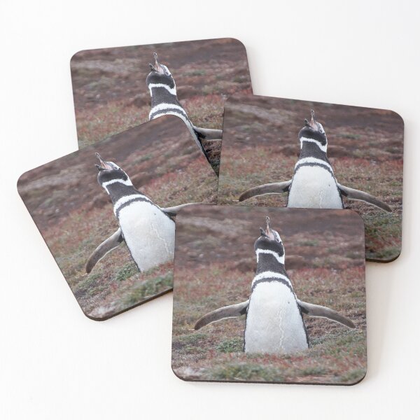 Item preview, Magellanic Penguin ~ "Sing out loud" designed and sold by Robert Elliott.
