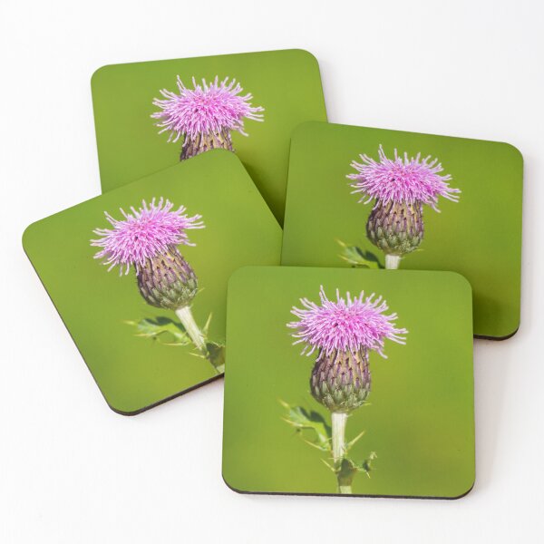 Item preview, A macro photo of a Scotch thistle designed and sold by SnapTPhotograph.