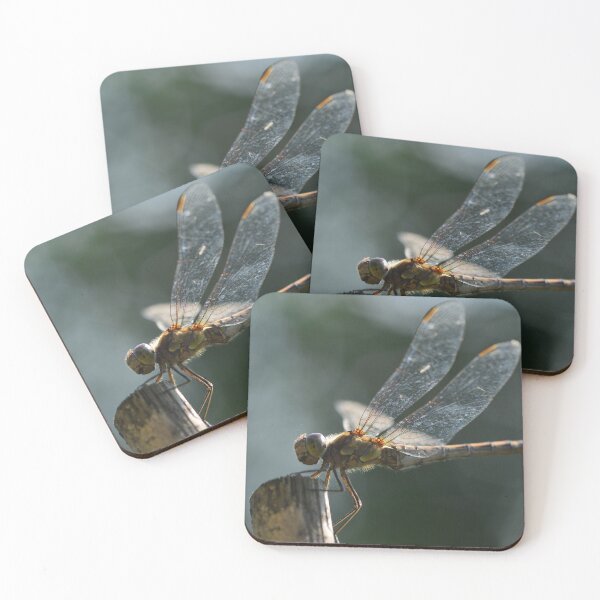Item preview, Dragonfly in the urban garden designed and sold by wineandwords.