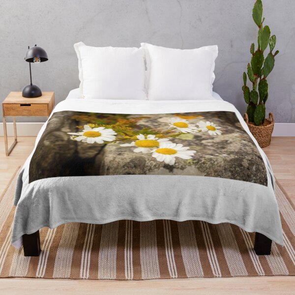 Item preview, A group of yellow and white ox eye daisy flowers in the summer sun designed and sold by SnapTPhotograph.