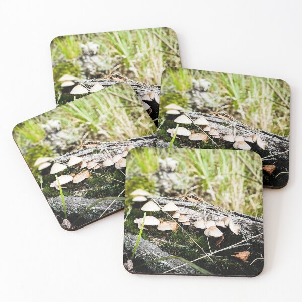 Item preview, Photography - mushrooms on wood log  designed and sold by Karolien Kenis.