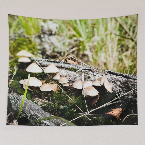 Item preview, Photography - mushrooms on wood log  designed and sold by Karolien Kenis.