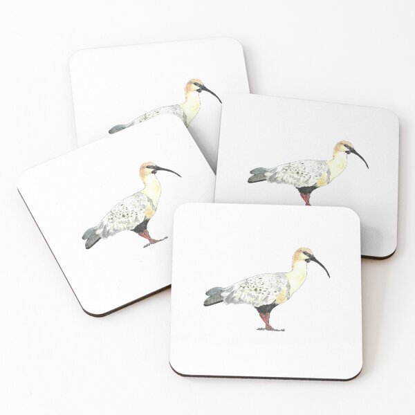 Item preview, Chilean bandurria, Theristicus caudatus designed and sold by Daniela Ponzini Montes.