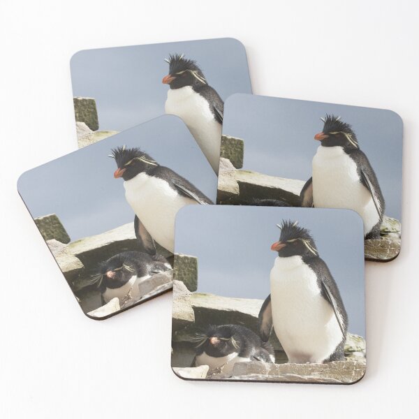 Artikelvorschau, Rockhopper Penguins ~ "Willkommen in unserem Zuhause" entworfen und verkauft von Robert Elliott.