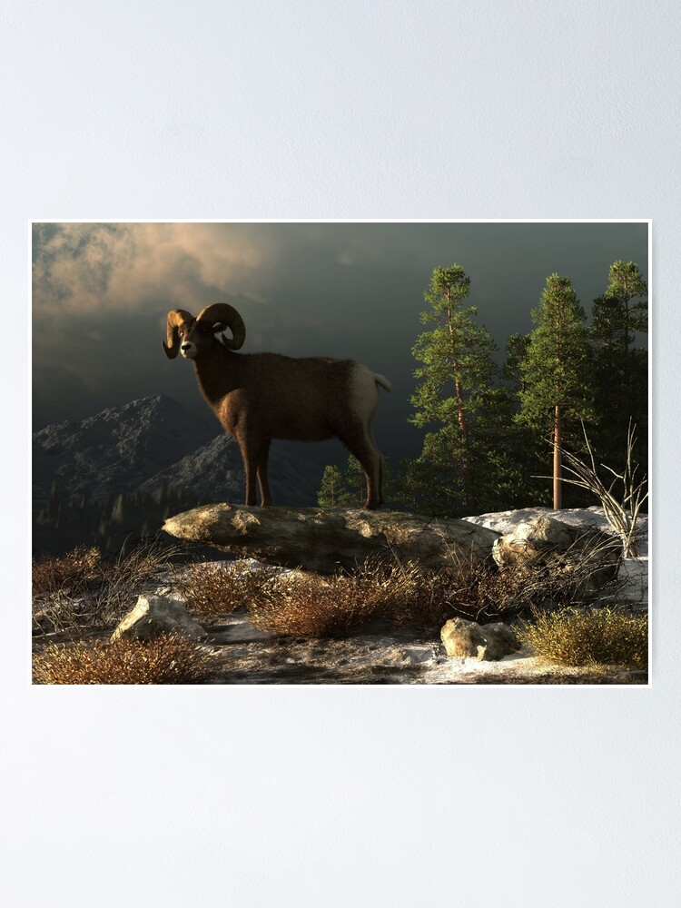 Download A majestic ram standing atop a rocky mountain