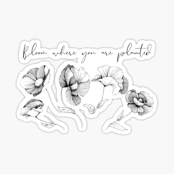 Bloom where you are planted Sticker for Sale by Design Dreamer