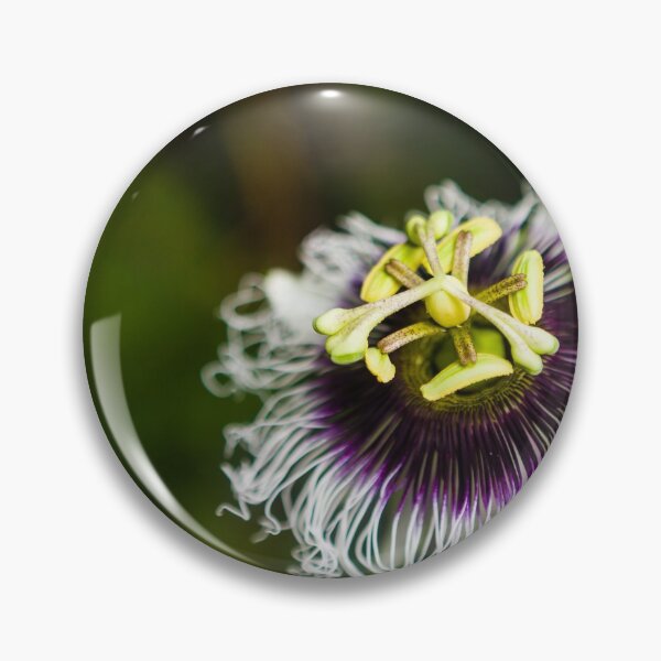 Item preview, Purple Passion Fruit Flower_D3_0872 designed and sold by BunkL.