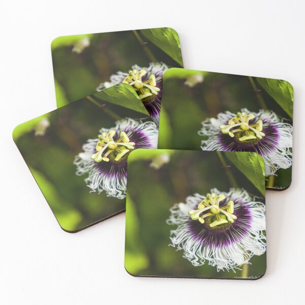 Item preview, Purple Passion Fruit Flower_D3_0872 designed and sold by BunkL.