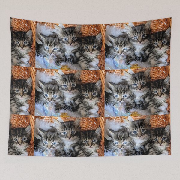 Item preview, Tabby kittens designed and sold by Fluffycat2020.