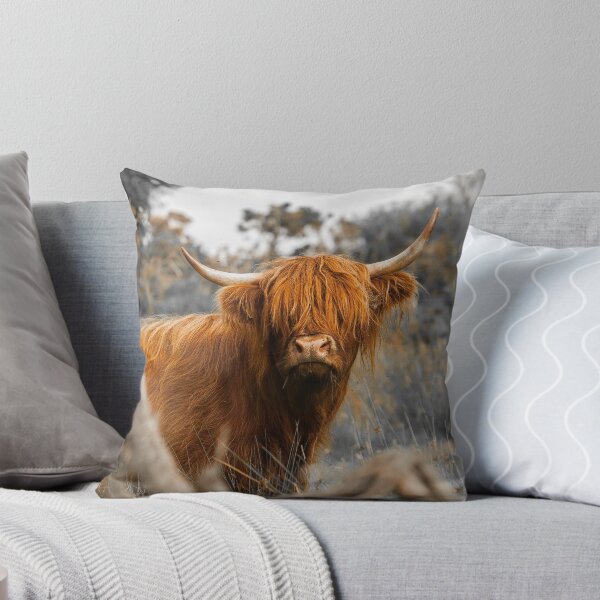 Item preview, Scottish Highland Cow designed and sold by LesHogganPhotos.