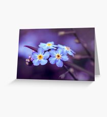 Forget-Me-Not Greeting Card