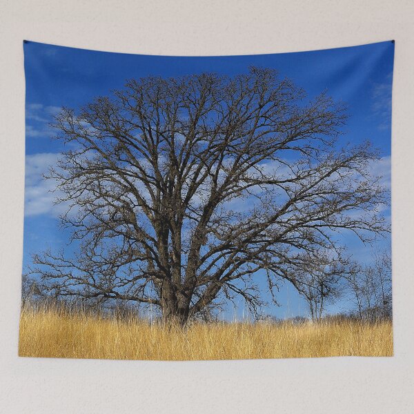 Item preview, Prairie, savanna oak - blue sky and golden grass designed and sold by rvjames.