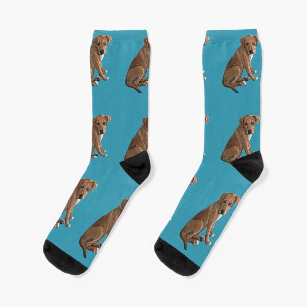 Brown Dog Socks Redbubble