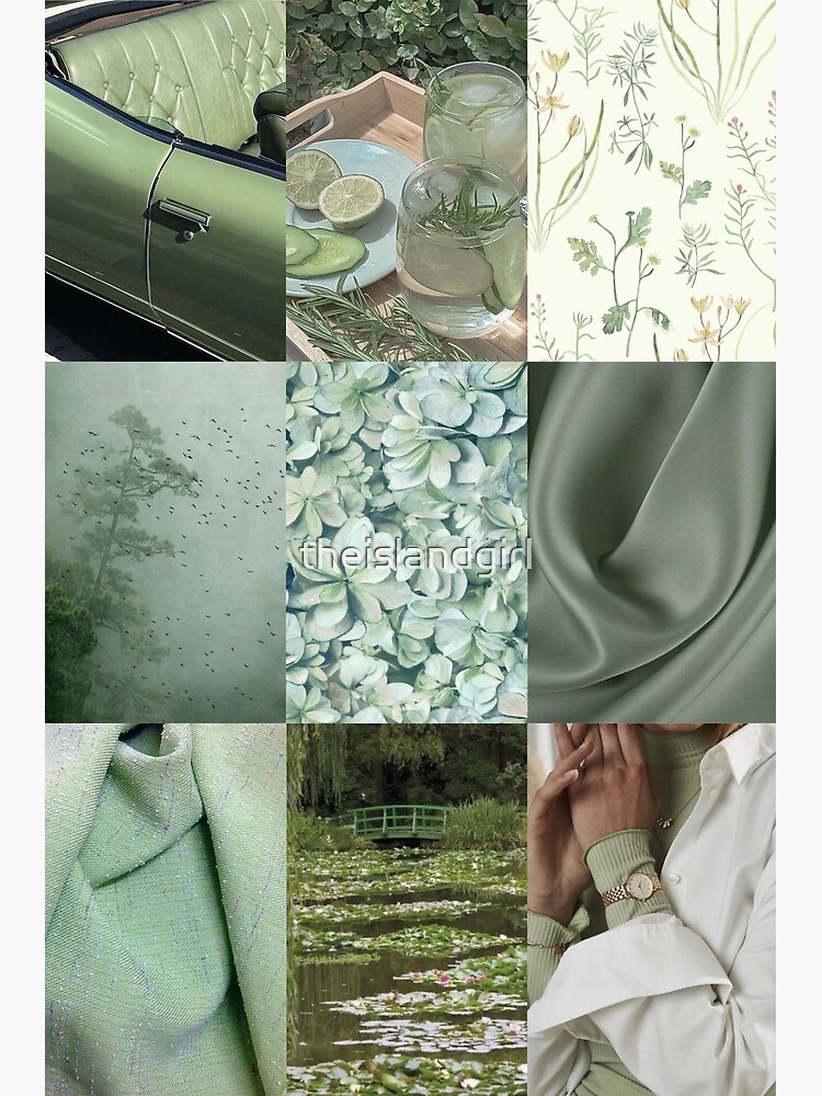 Light Green Aesthetic Sage Poster For Sale By Theislandgirl   Flat,750x,075,f Pad,750x1000,f8f8f8 