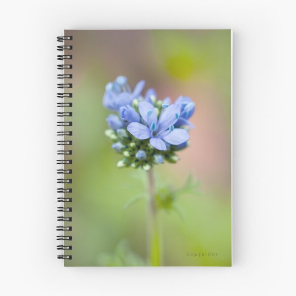Item preview, Blue designed and sold by OpalFire.