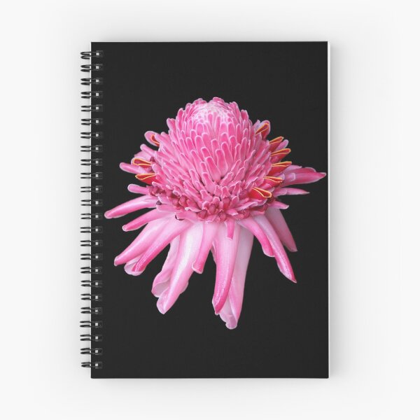 Item preview, Pink Torch Ginger designed and sold by TropicalFronds.