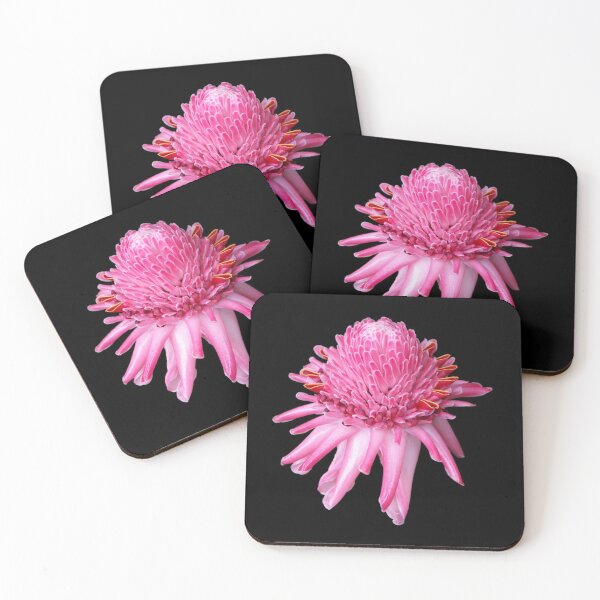 Item preview, Pink Torch Ginger designed and sold by TropicalFronds.