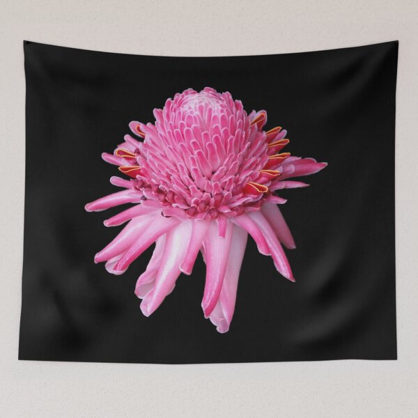 Item preview, Pink Torch Ginger designed and sold by TropicalFronds.