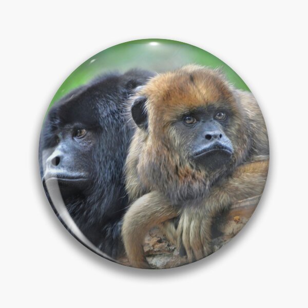 Item preview, Male and Female Howler Monkeys  designed and sold by Savannah Gibbs.