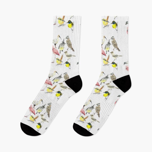 Item preview, 7 Chilean birds, Chilean birds designed and sold by Daniela Ponzini Montes.