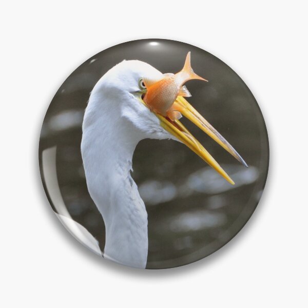 Item preview, Catch of the Day designed and sold by Savannah Gibbs.