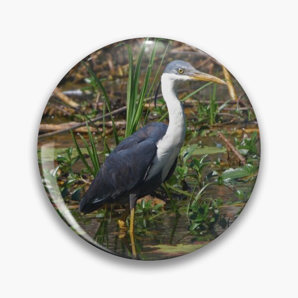 Item preview, Pied Heron designed and sold by Robert Elliott.